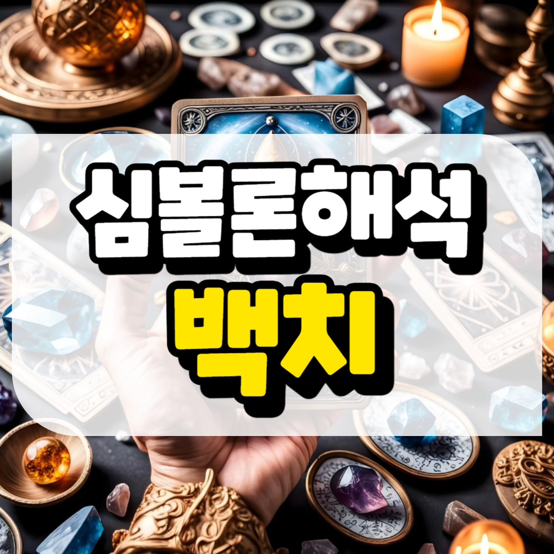 심볼론 해석 백치와 관련된 사진