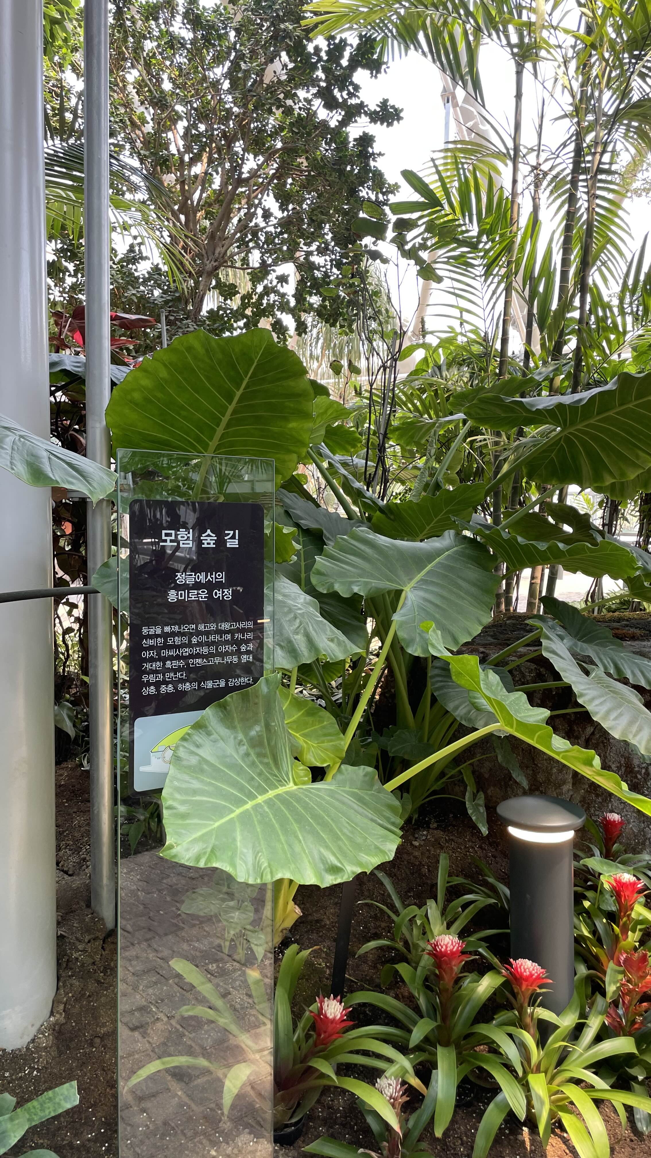 환호공원 식물원