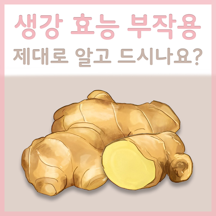 생강의-모습