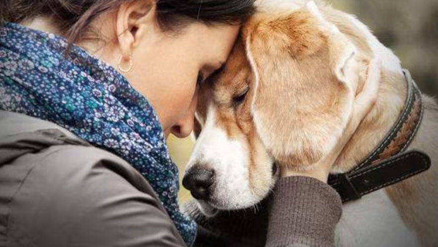 여인과 함께하는 강아지의 다정다감한 모습 이미지