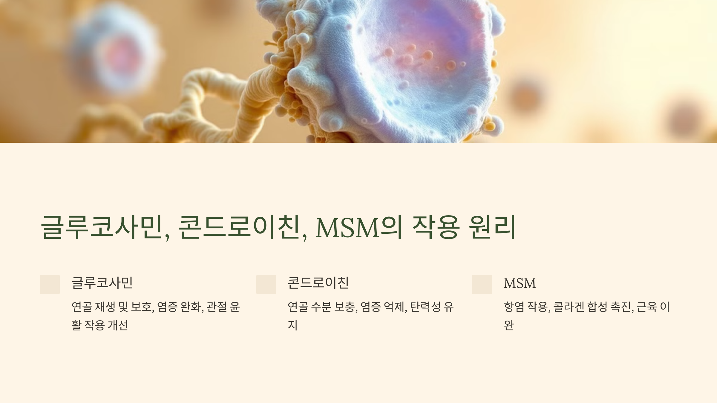 관절 건강 필수템! 글루코사민, 콘드로이친, MSM 효능