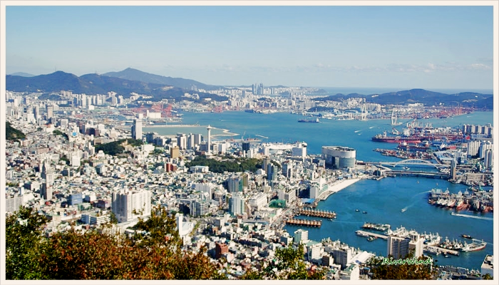 부산 남항 ,북항 영도 수리조선소 전경