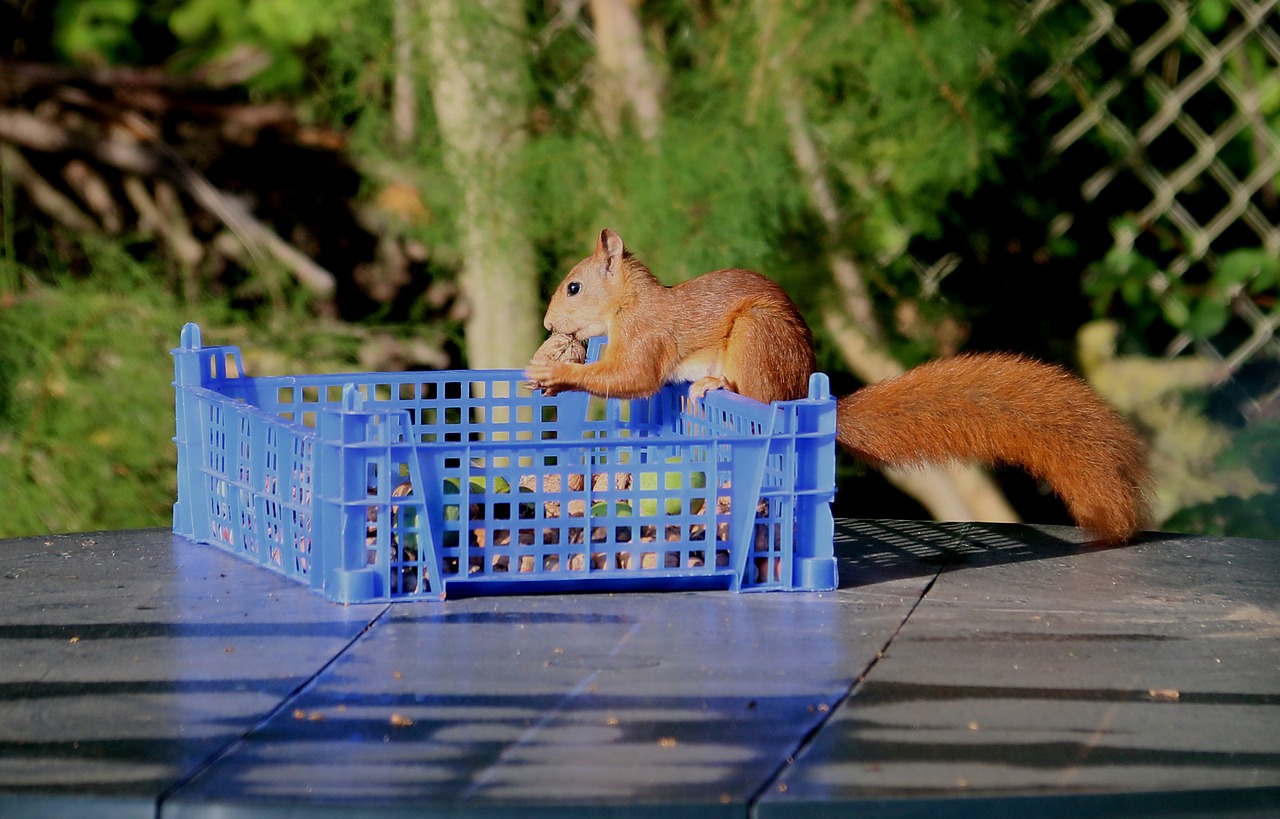 우주에서의 식사