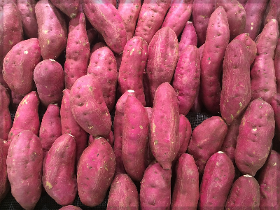 변비에 좋은 음식 변비 해결 방법