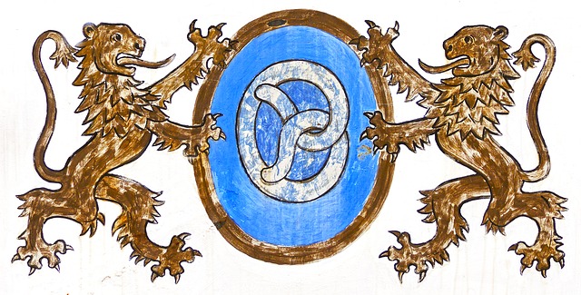 로스트아크 업데이트