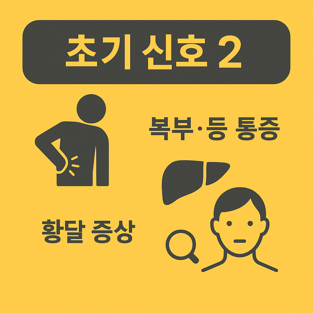 췌장암 초기증상 신호 2를 설명한 인포그래픽으로 복부나 등 통증, 황달 증상이 동반될 수 있음을 보여주는 이미지입니다.