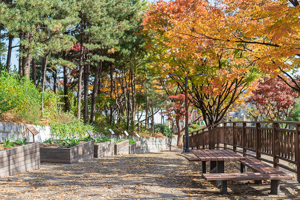 혜화문
성북동
한양도성길
백악구간
서울여행
서울단풍
가을단풍
단풍
성벽
와룡공원
