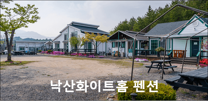 낙산화이트홈 펜션 사진