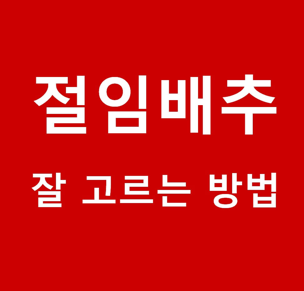 절임배추 잘 고르는 방법