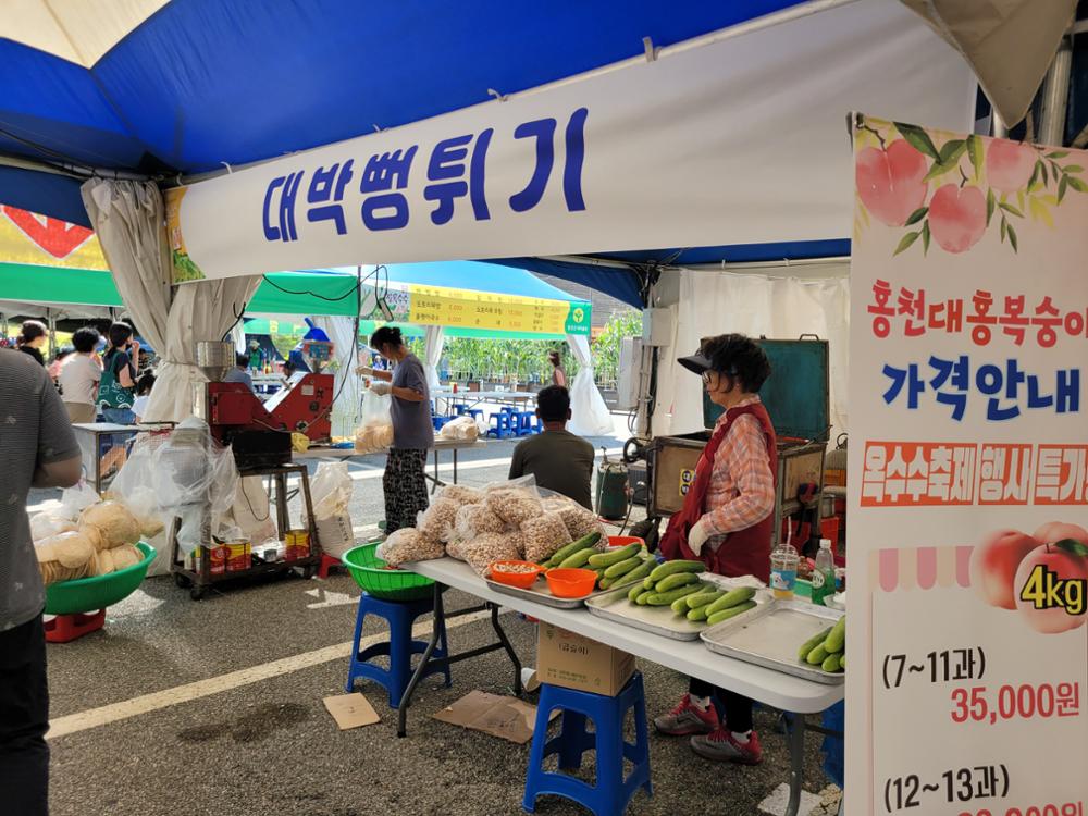 제28회 홍천 찰옥수수 축제 기본일정과 프로그램 정리