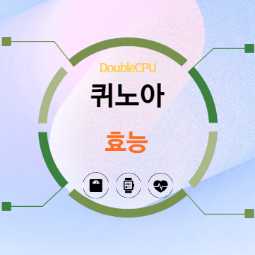 퀴노아 효능 탐구