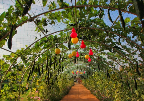 가족들과 꽃놀이 가서 찍은 예쁜 사진