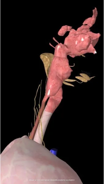 사레들리다 사레걸리다 사래들리다 맞춤법_3