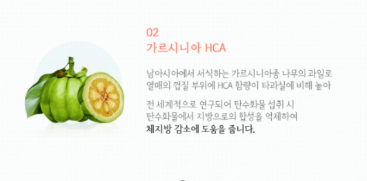 가르시니아-설명