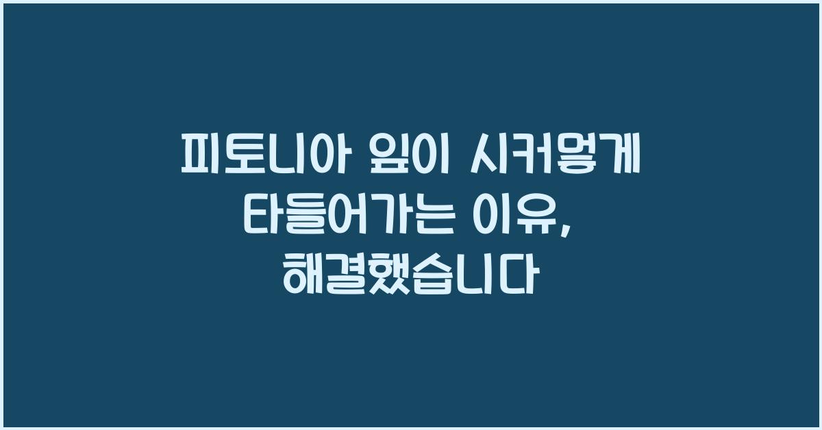 피토니아 잎이 시커멓게 타들어가는 이유, 해결했습니다