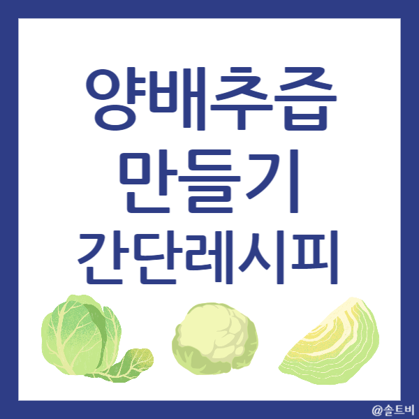 양배추즙 만들기, 간단 레시피