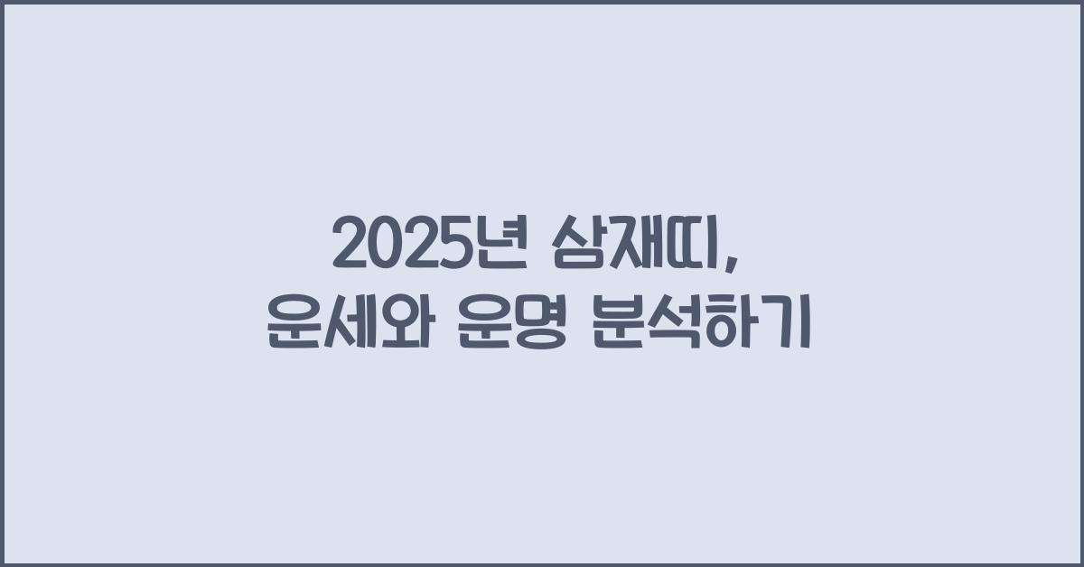 2025년 삼재띠