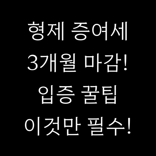 형제자매 증여세 신고 3개월 기한과 ..