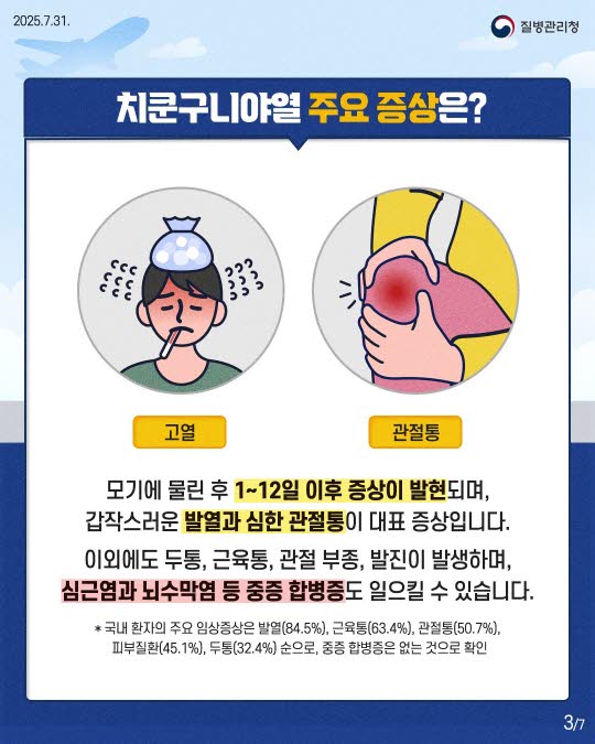 치쿤구니야열 증상부터 예방법까지