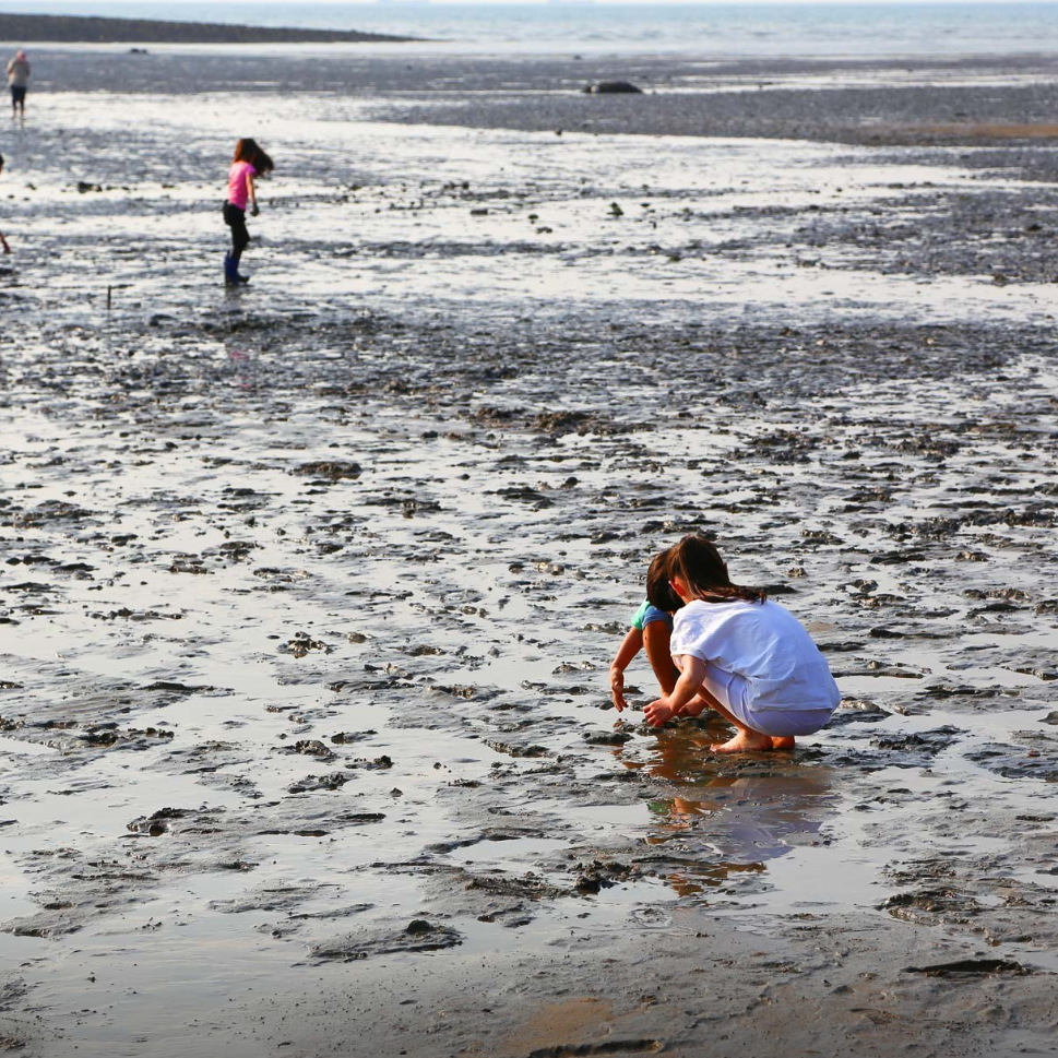 갯벌체험