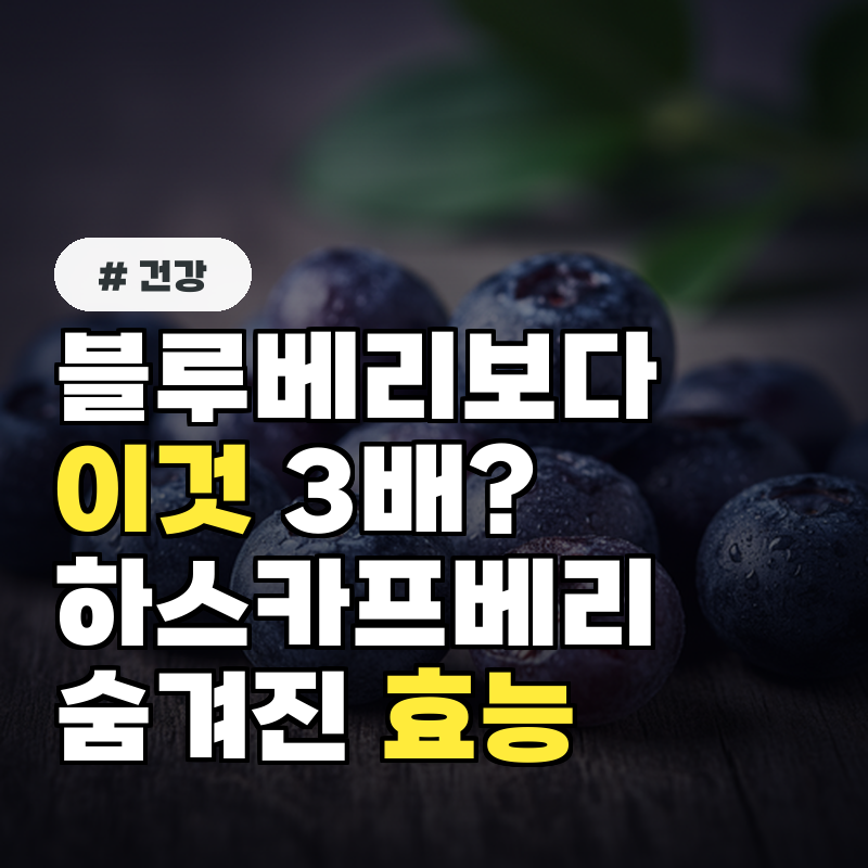 블루베리보다 '이것' 3배 하스카프베리 숨겨진 효능 5가지