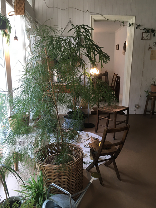 소장식물전-입구-거실