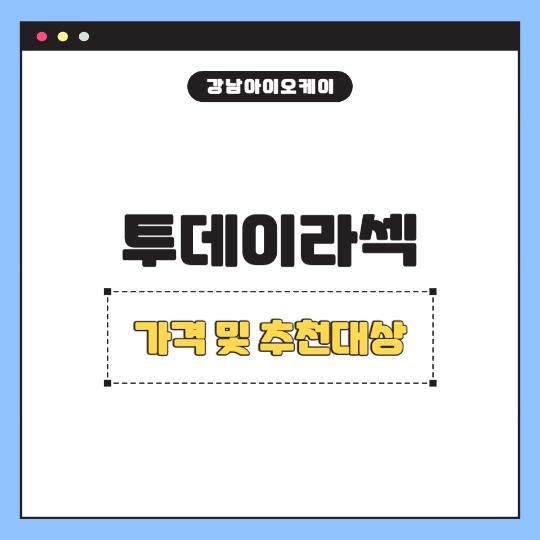 투데이라섹가격