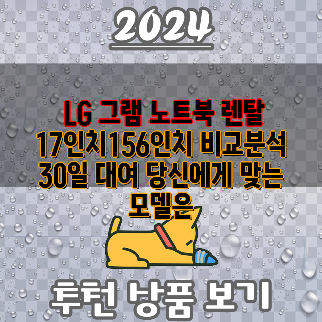  LG 그램 노트북 렌탈 17인치156인치 비교분석 3