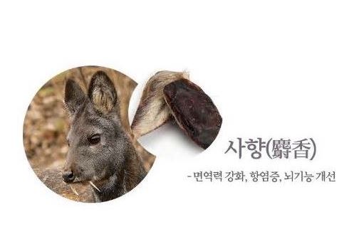 공진단 사향 효능