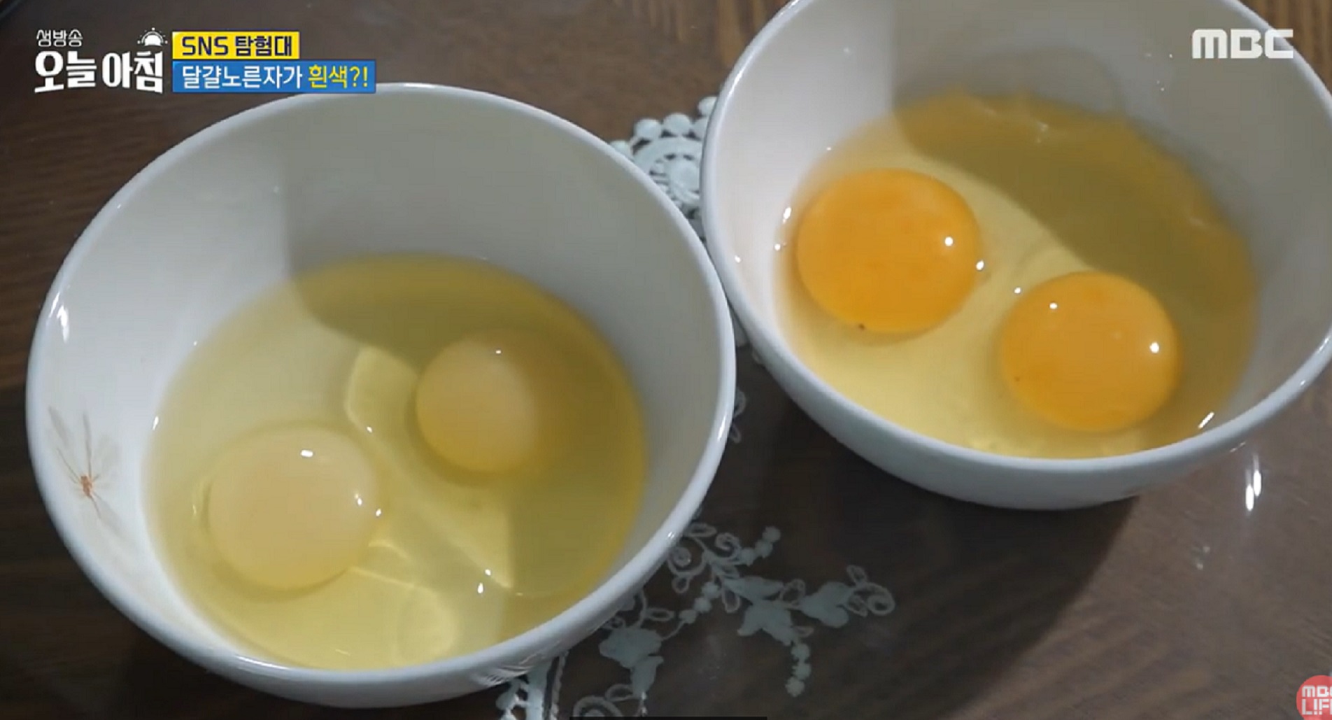 6시내고향-연천-유정란-계란-유나네자연숲농장