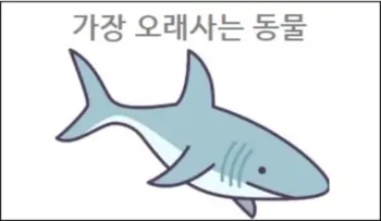 가장 오래사는 동물