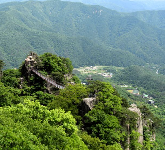 완주 대둔산 케이블카 요금 할인 정보