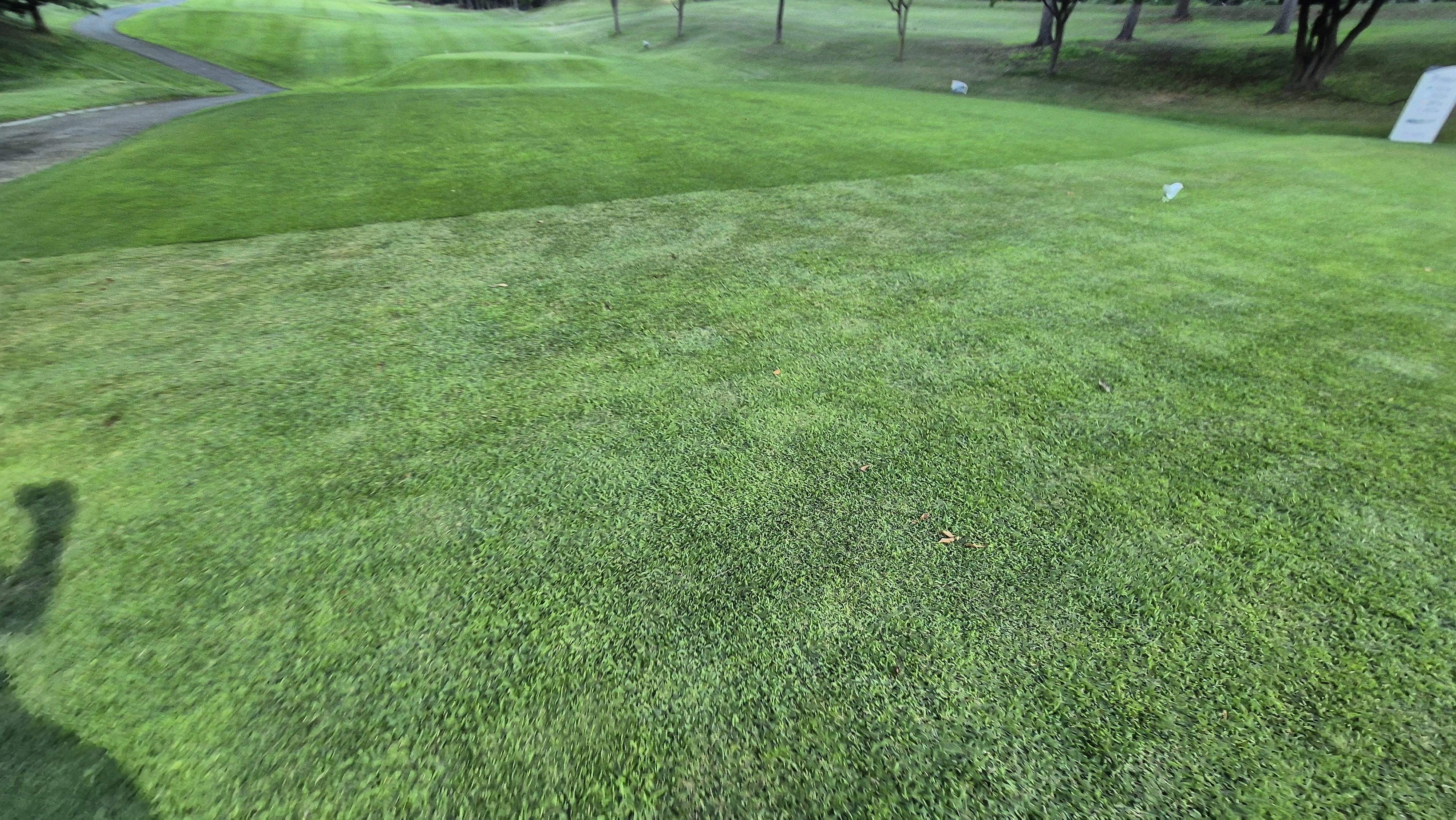 태광cc 북-서 코스 라운드 후기