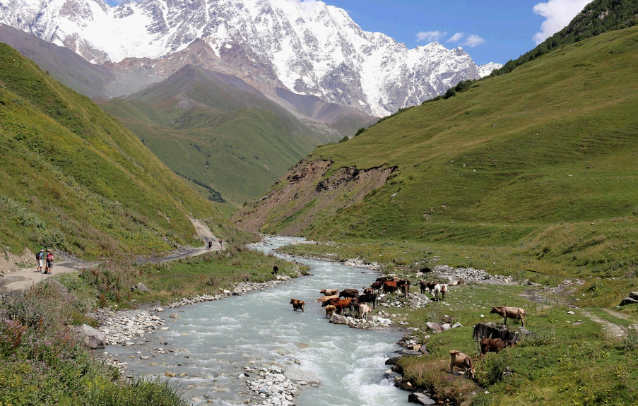 조지아 노마드 비자 신청 시 필요한 보험 커버리지 완벽 가이드