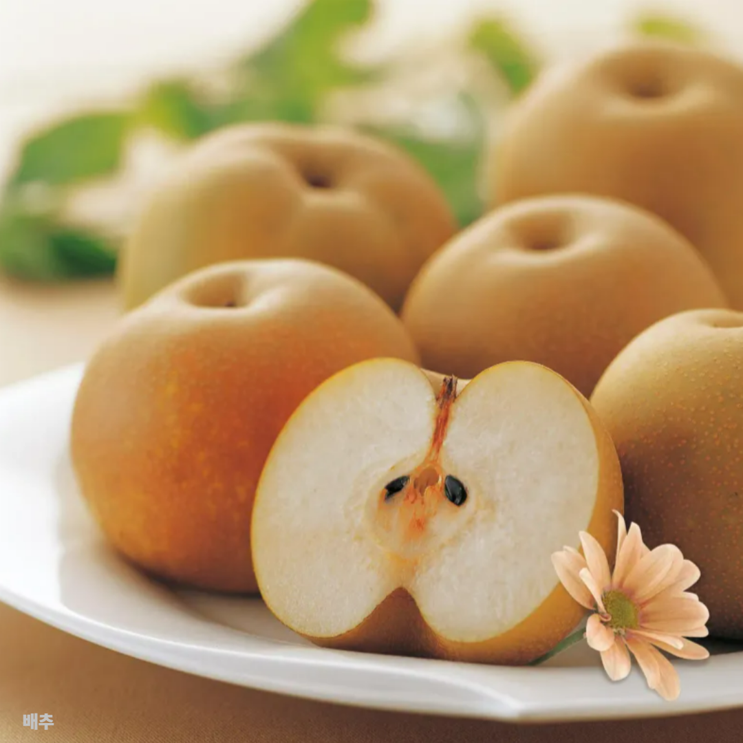 배