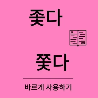 좇다 쫓다 맞춤법 맞는 표현 예문_24