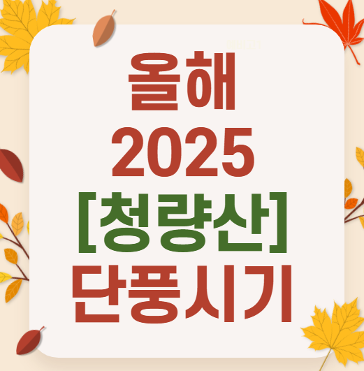 2025 청량산 가을 단풍여행 ❘ 최단코스·실시간 단풍 현황·주차장 안내