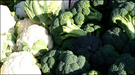 브로콜리와 콜리플라워