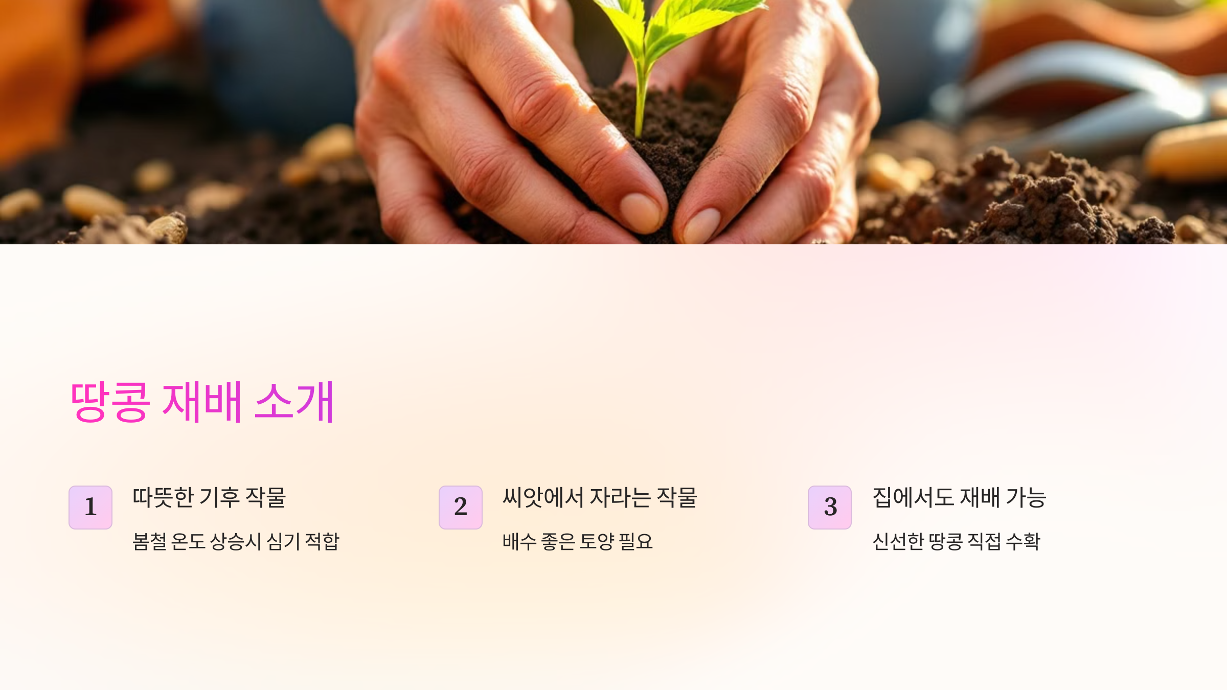 심기 전에 충분한 준비가 필요