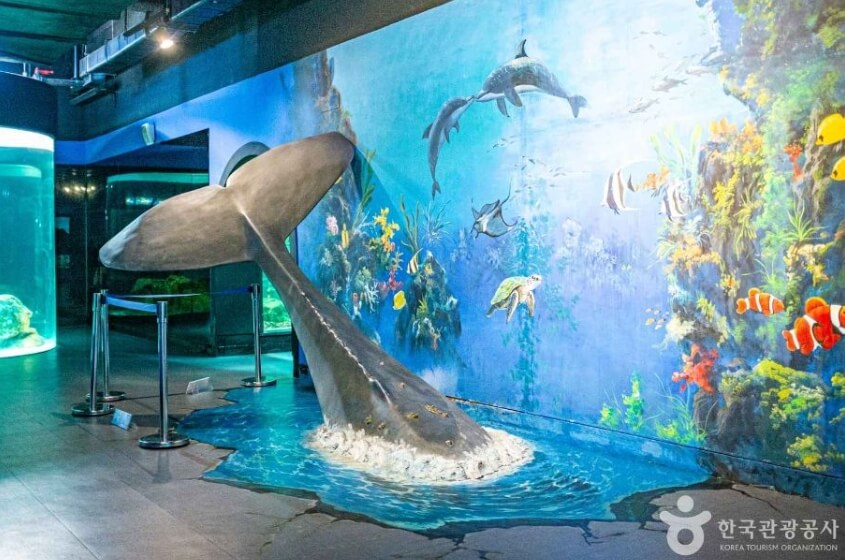 울진 가볼만한곳 베스트 10