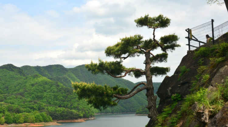 옥천 수생식물학습원