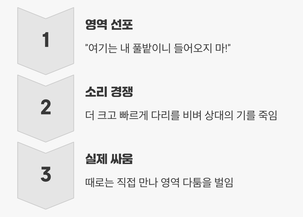 라이벌을 향한 강력한 경고