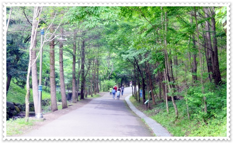 대전 근교 트리하우스