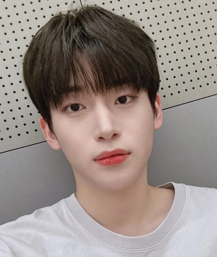 가수 정모 프로필