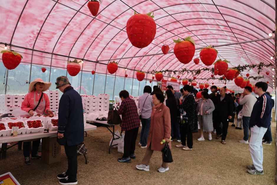 논산딸기축제 완벽 가이드｜일정&middot;주차&middot;체험&middot;아이동반 팁 총정리