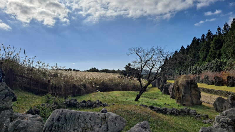 제주여행_산굼부리