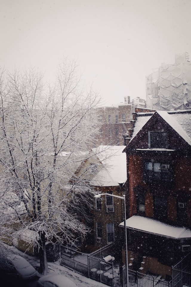 이번 주 폭설 전망 실시간 확인 필수 가이드
