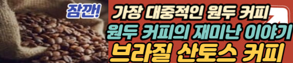 브라질 산토스