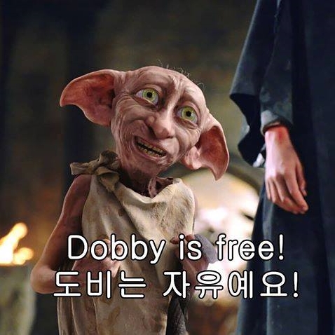 퇴사-짤