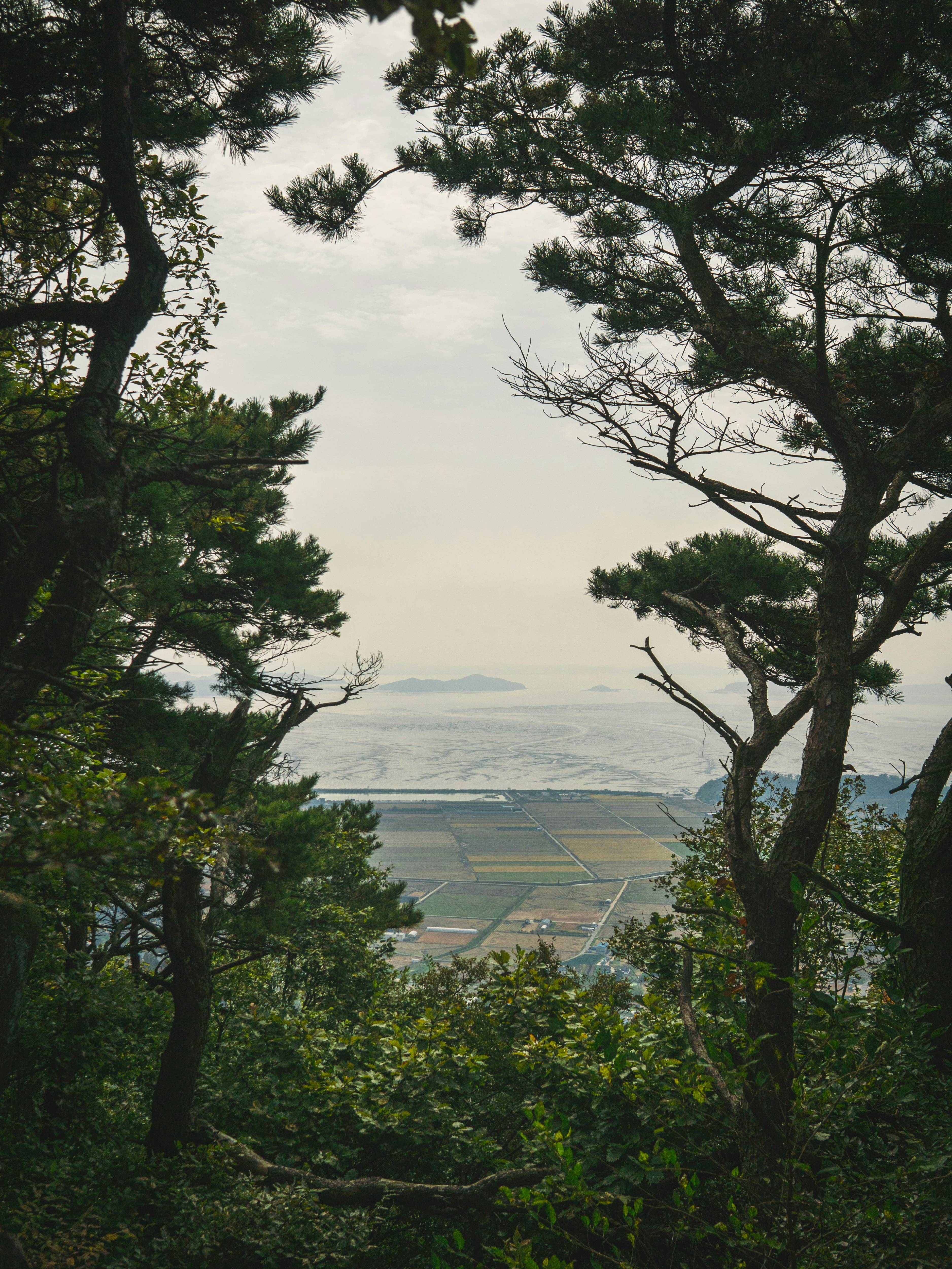 농촌 어촌 이미지